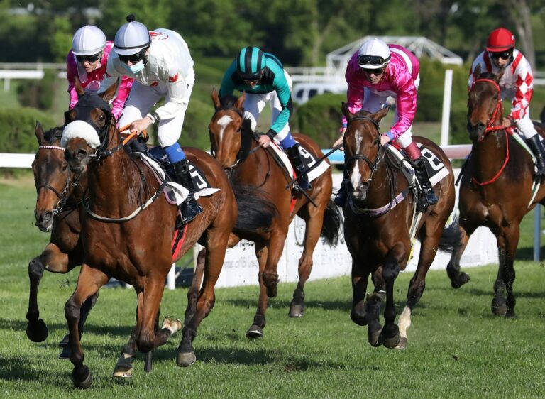 Common Horse Betting Mistakes and How to Avoid Them: Boost Your Winning Chances Today