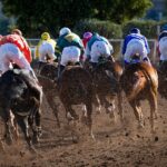 group of men riding horses near tree during daytime